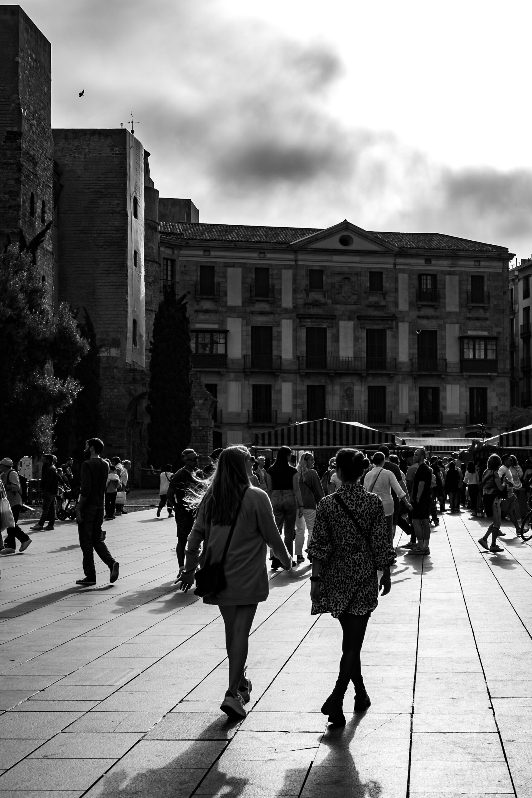 stolen moment by camille massida photography